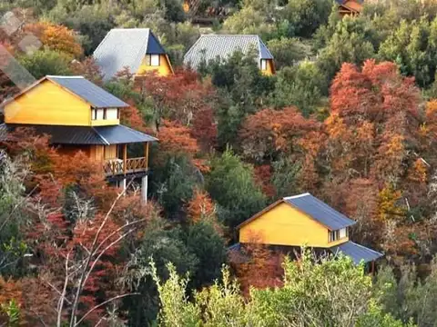 Casa en Venta en Villa Pehuenia, Aluminé