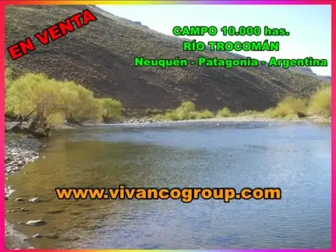 Campo en Venta en Ñorquin, Ñorquín