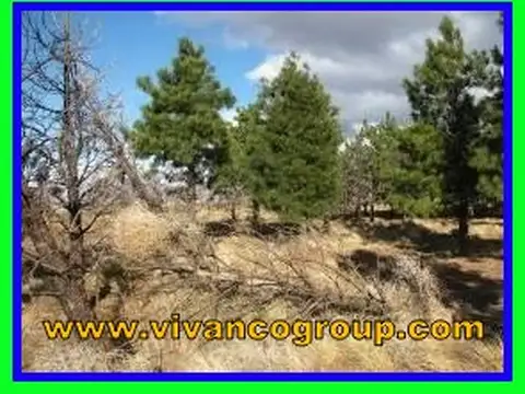 Campo en Venta en Loncopue, Loncopué