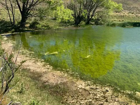 Campo en Venta en Zapala, Neuquén