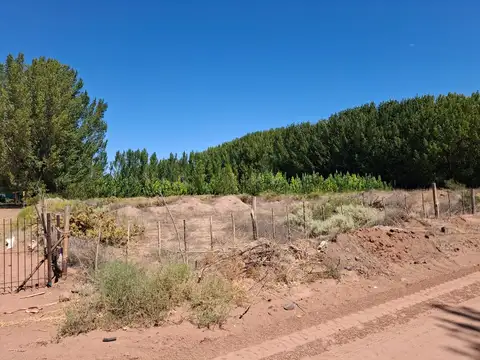 Campo en Venta en Rincon de los Sauces, Pehuenches