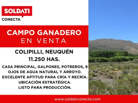 Campo en Venta en Ñorquin, Ñorquín