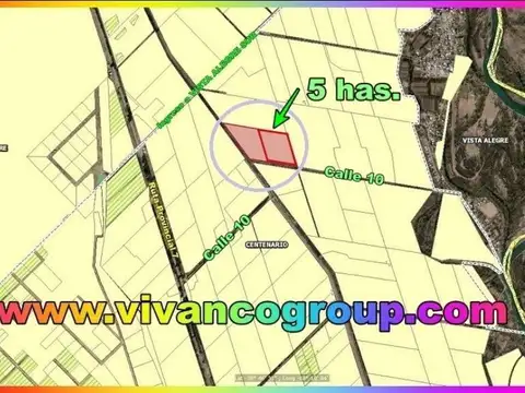 Campo en Venta en Centenario, Confluencia