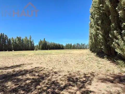 Campo en Venta en Paso Aguerre, Picún Leufú