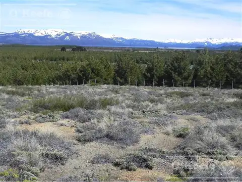 Campo en Venta en Alumine, Aluminé