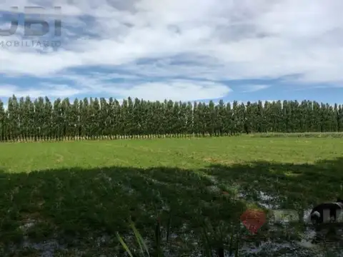Campo en Venta en Senillosa, Confluencia