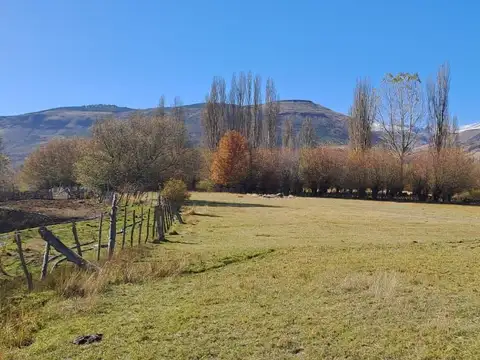 Campo en Venta en Alumine, Aluminé
