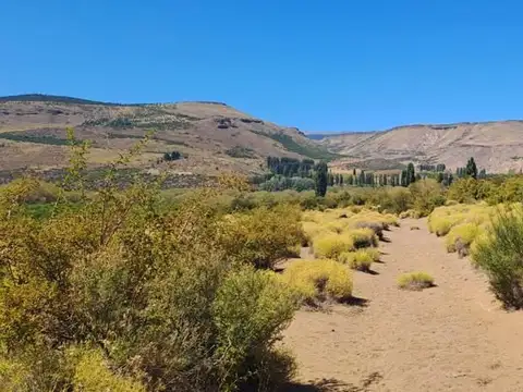 Campo en Venta en Alumine, Aluminé