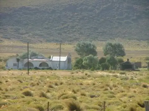 Campo en Venta en Ñorquin, Ñorquín