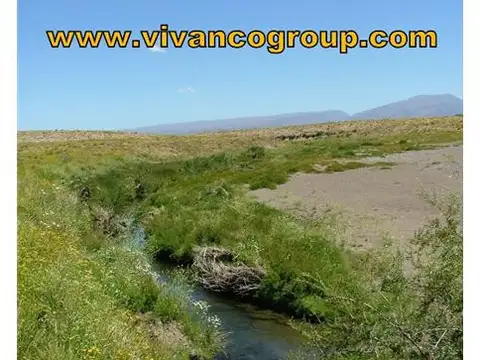 Campo en Venta en El Huecu, Ñorquín