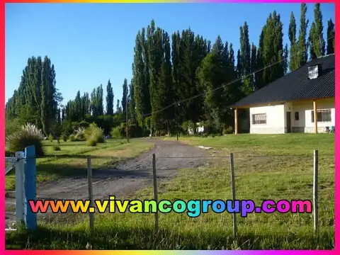 Campo en Venta en Loncopue, Loncopué