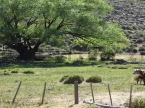 Campo en Venta en Piedra del Aguila, Collón Curá