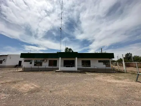 Galpón en Alquiler en Rincon de los Sauces, Pehuenches