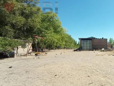 Galpón en Alquiler en Senillosa, Confluencia