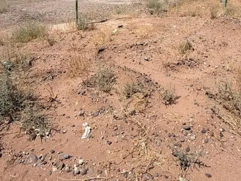 Galpón en Alquiler en Añelo, Neuquén
