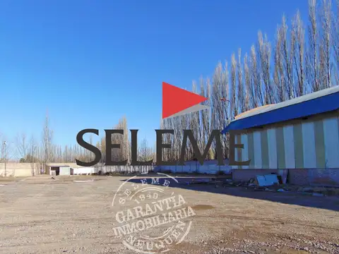 Galpón en Alquiler en Centenario, Confluencia
