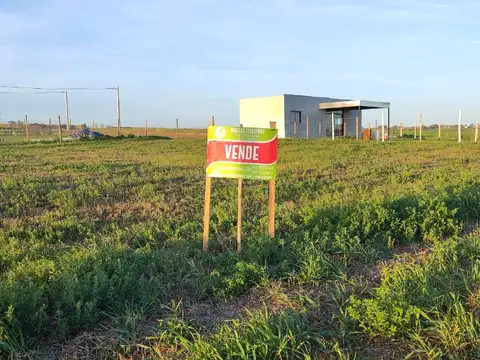 Terreno en Venta en Colonia Ensayo, Diamante