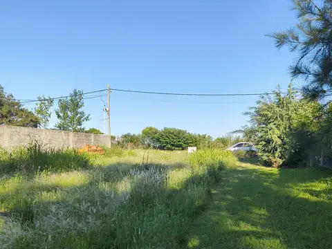 Terreno en Venta en Colonia Ensayo, Diamante