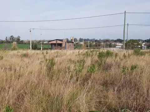 Terreno en Venta en Colonia Ensayo, Diamante