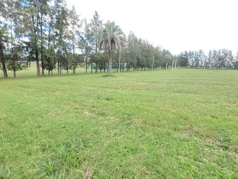 Terreno en Venta en Estancia Grande, Concordia