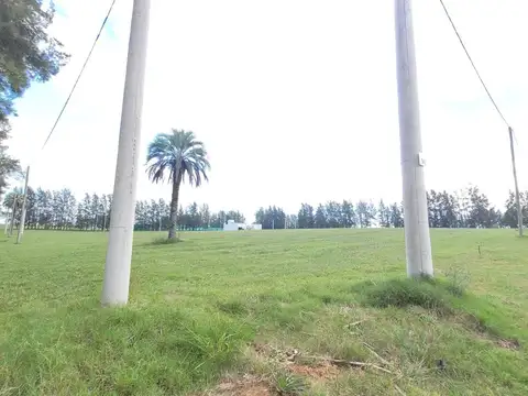Terreno en Venta en Estancia Grande, Concordia