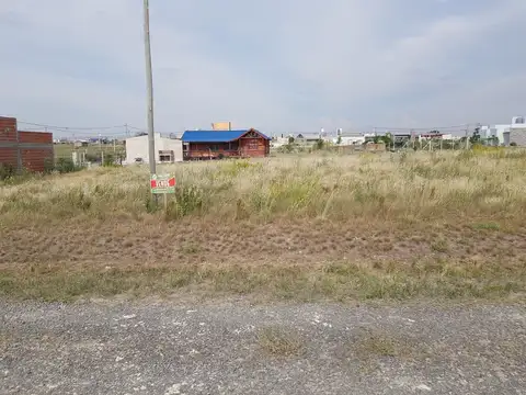 Terreno en Venta en Colonia Ensayo, Diamante