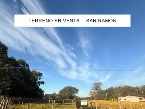 Terreno en Venta en Colonia San Ramón, Federación