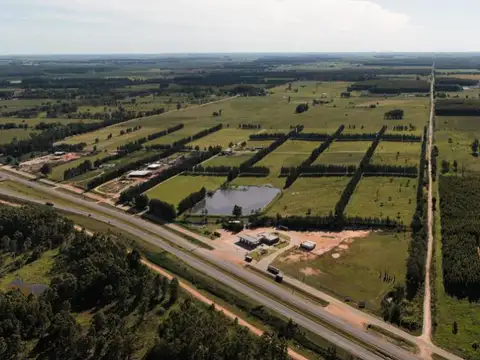 Terreno en Venta en Concordia, Entre Ríos