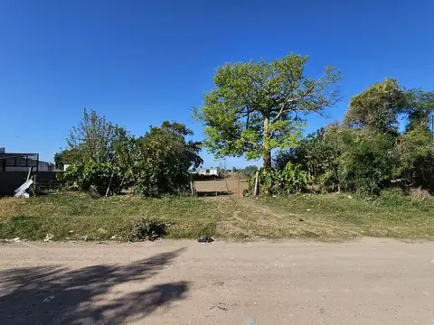 Terreno en Venta en Victoria, Entre Ríos