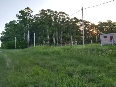 Terreno en Venta en Concepción del Uruguay, Uruguay