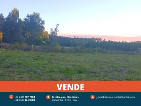 Terreno en Venta en Osvaldo Magnasco, Concordia