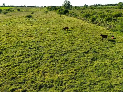 Terreno en Venta en Concepcion del Uruguay, Uruguay
