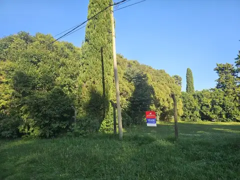 Terreno en Venta en Victoria, Entre Ríos