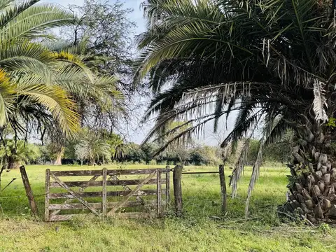 Terreno en Venta en Concepcion del Uruguay, Uruguay