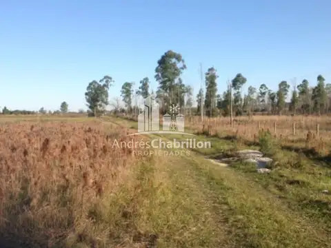 Terreno en Venta en Concordia, Entre Ríos