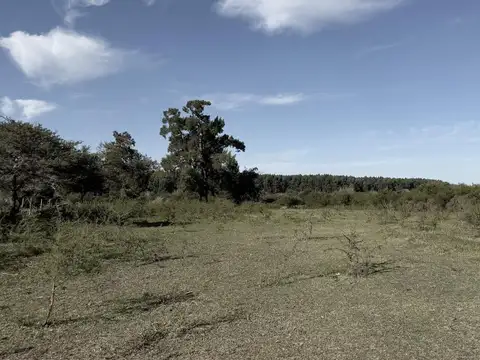 Terreno en Venta en Colon, Colón