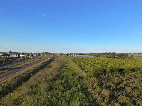 Terreno en Venta en Chajari, Federación