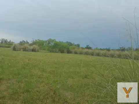 Terreno en Venta en Colonia Hughes, Colón