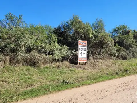 Terreno en Venta en San Jose, Colón