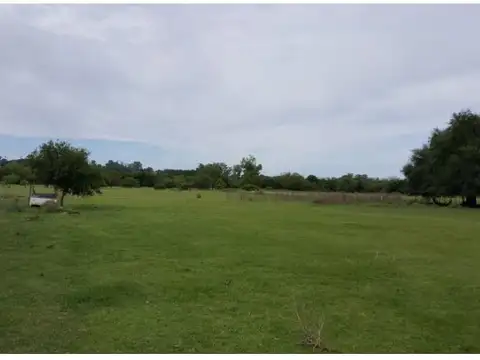 Terreno en Venta en Victoria, Entre Ríos