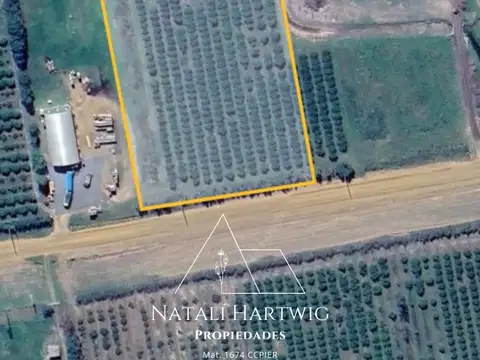 Terreno en Venta en Chajari, Federación