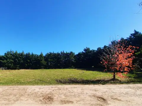 Terreno en Venta en Gualeguaychu, Gualeguaychú