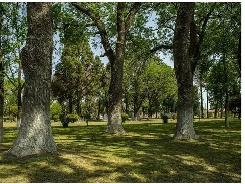 Terreno en Venta en Antelo, Victoria