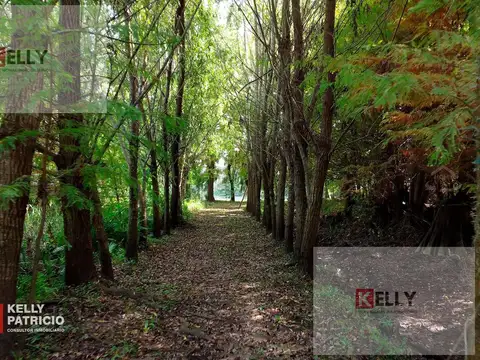 Terreno en Venta en Villa Paranacito, Islas del Ibicuy