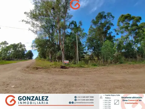 Terreno en Venta en Colonia Adela, Concordia