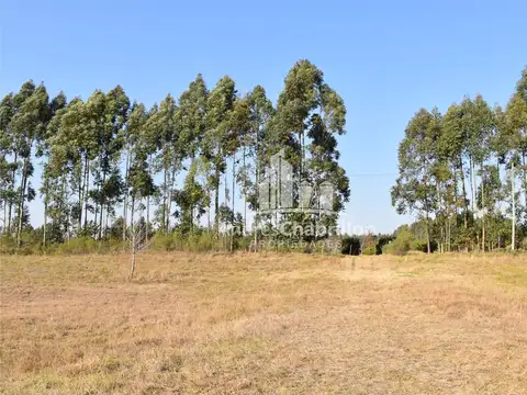 Terreno en Venta en Concordia, Entre Ríos