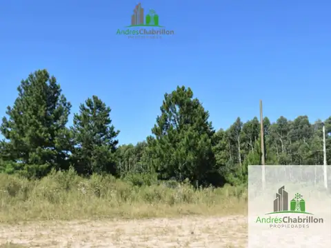 Terreno en Venta en Concordia, Entre Ríos