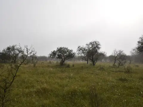 Terreno en Venta en Federal, Entre Ríos