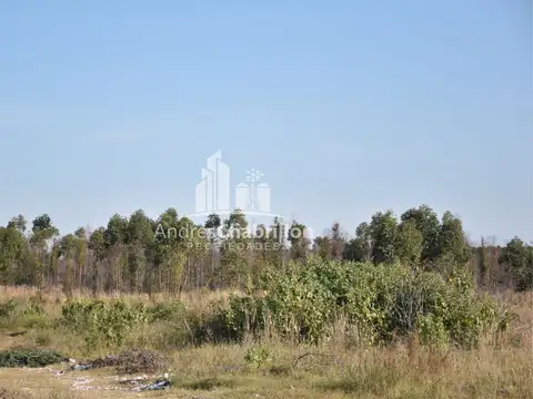 Terreno en Venta en Concordia, Entre Ríos