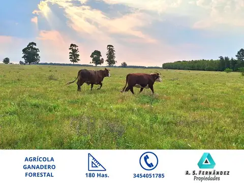 Campo en Venta en Concordia, Entre Ríos